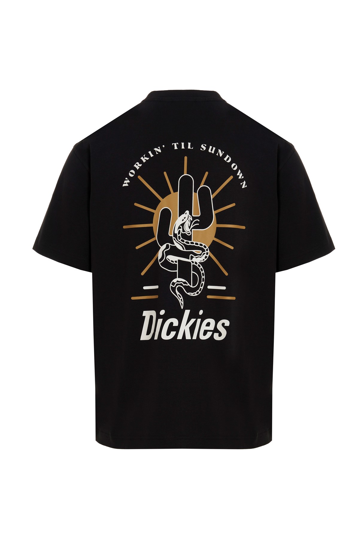 DICKIES T-Shirt 'Bettles'