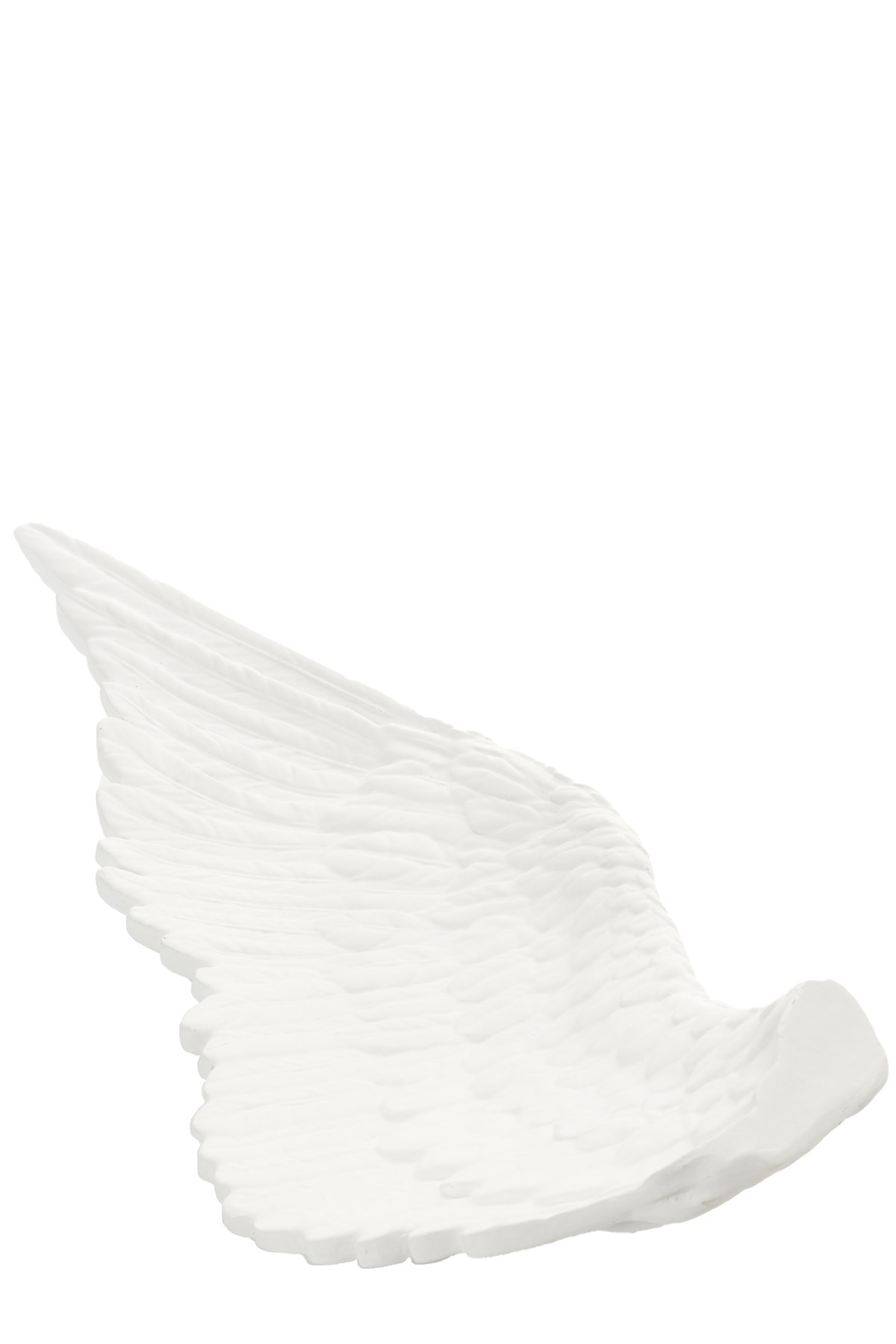 SELETTI 'Memorabiliamuseum - Wings Right' Centerpiece