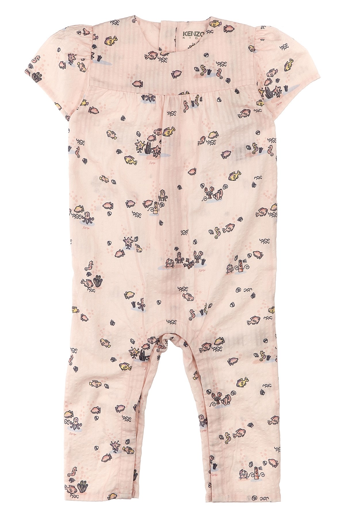 Pagliaccetto Print - Size 2