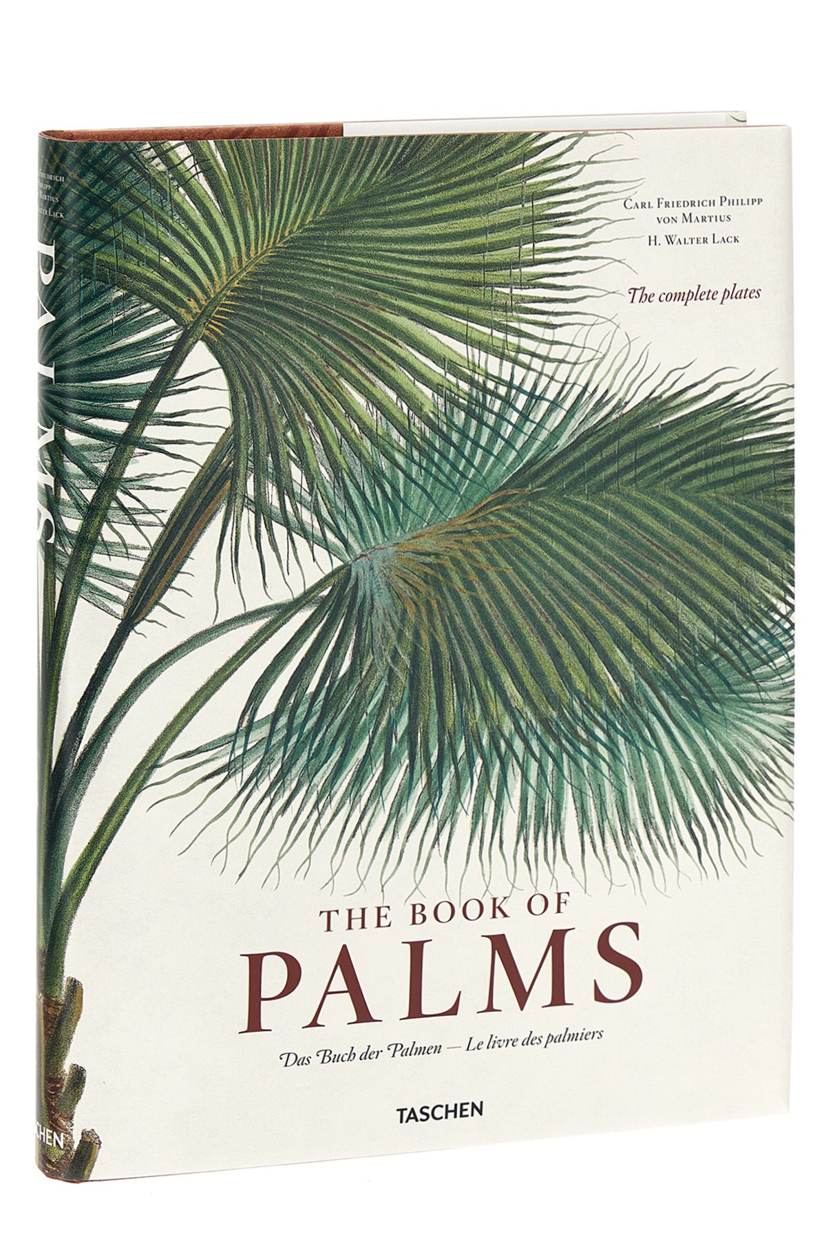 'Martius. The Book Of Palms' Book