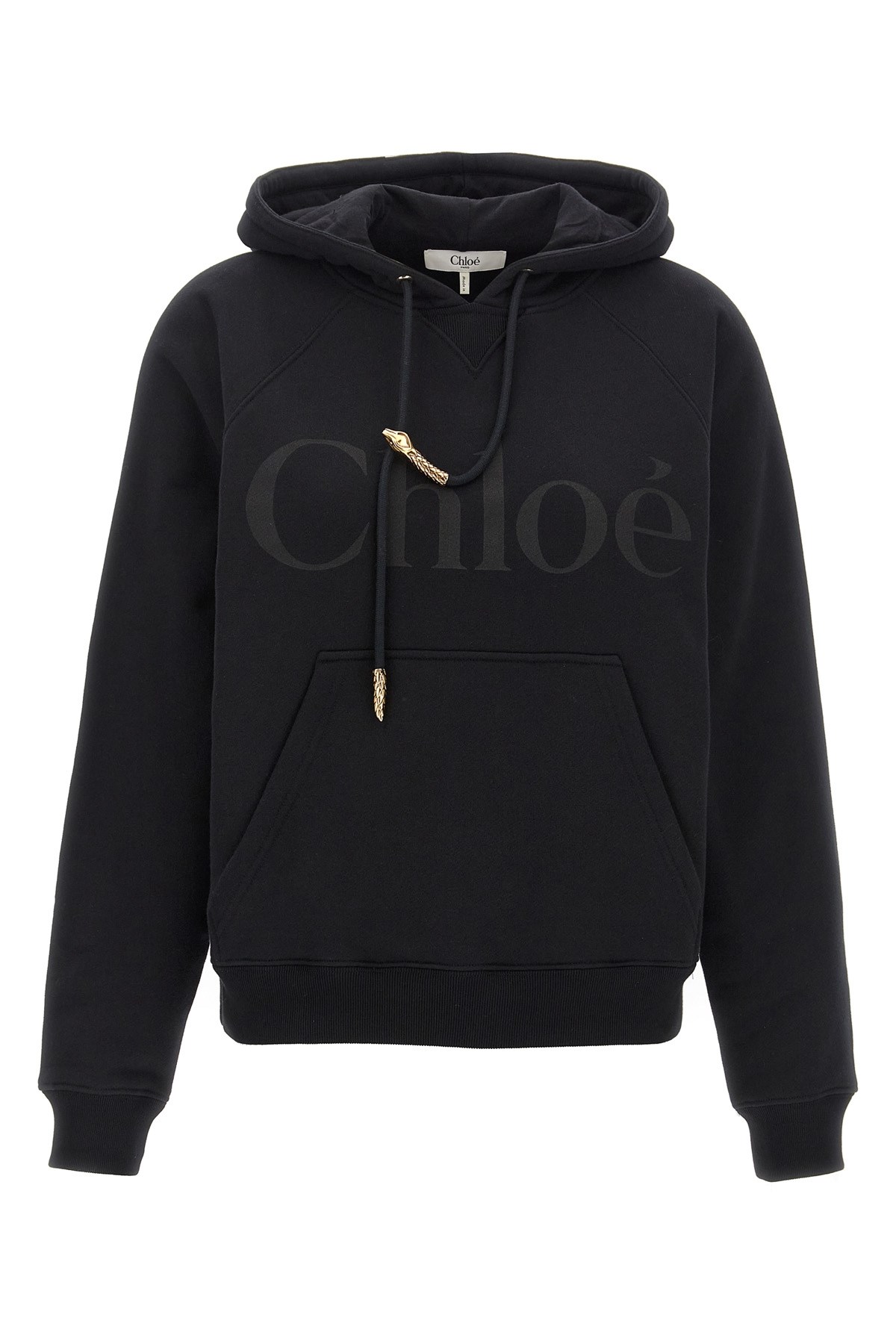 Chloã Chloã‰ 'serpente' Sweatshirt