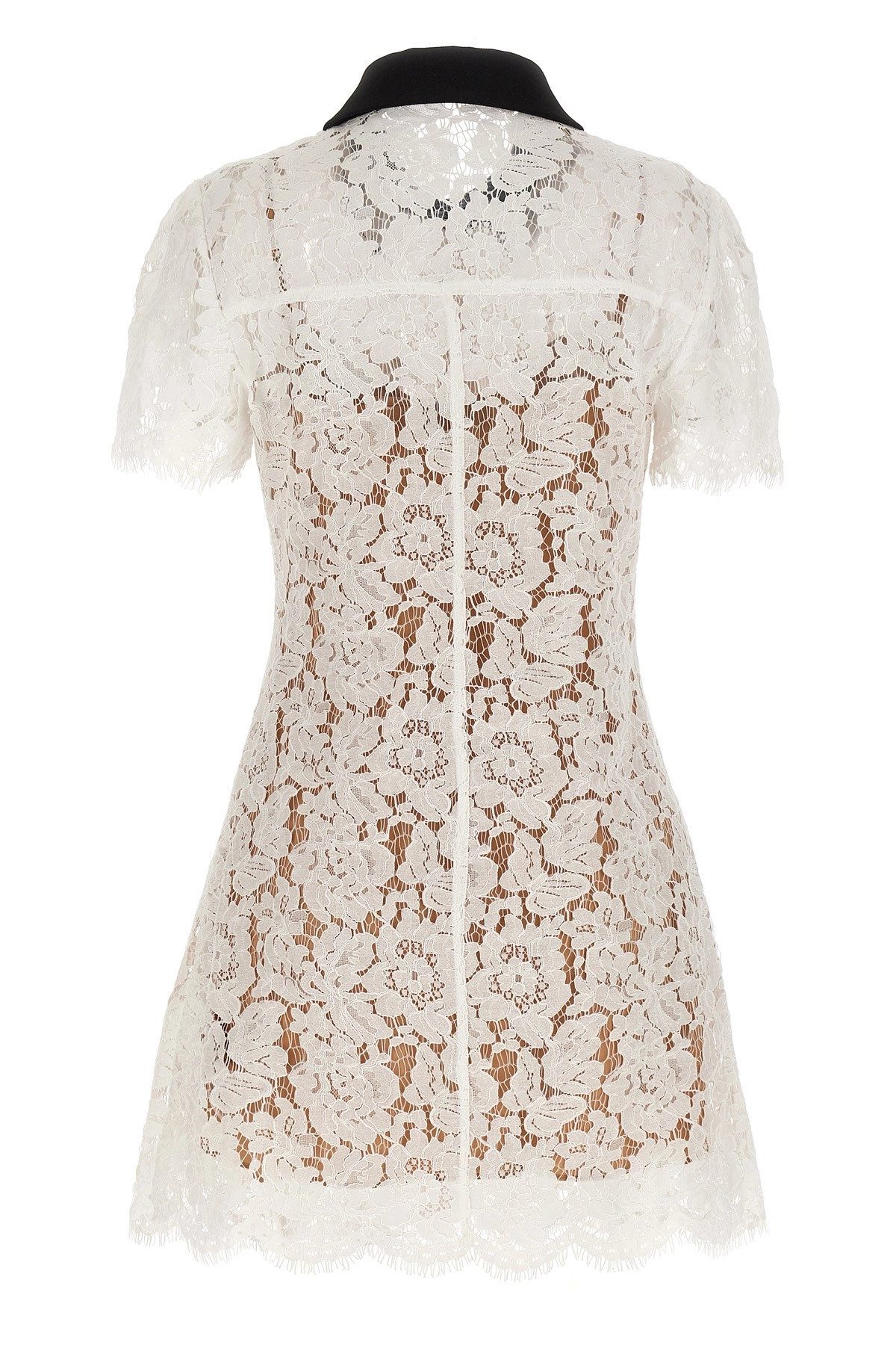 LACE CONTRAST COLLAR MINIドレス White Lace Contrast Collar Mini Dress – self-portrait-US