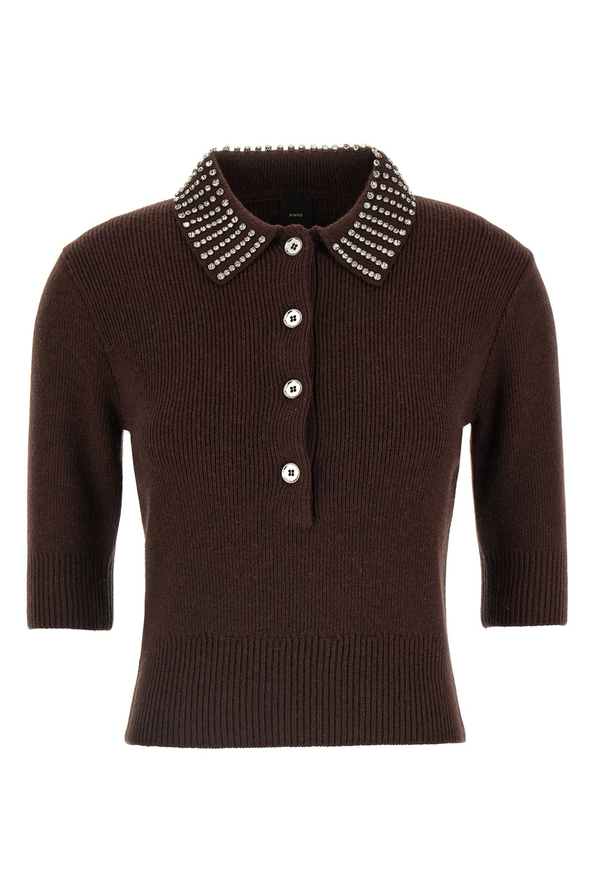 Pinko Emilia Sweater With Strass In Brown