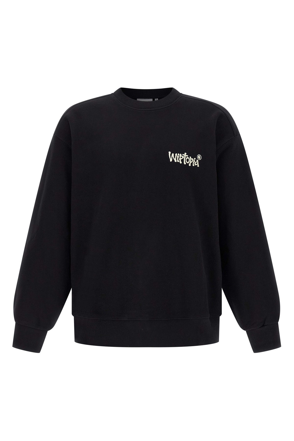 CARHARTT WIP 'Wiptopia' Sweatshirt