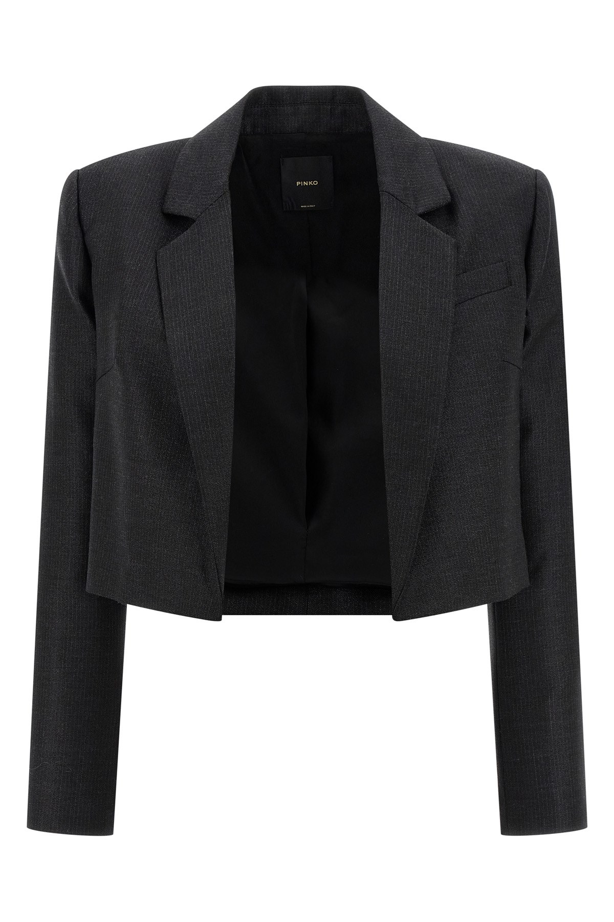 Pinko Eliana Blazer In Black