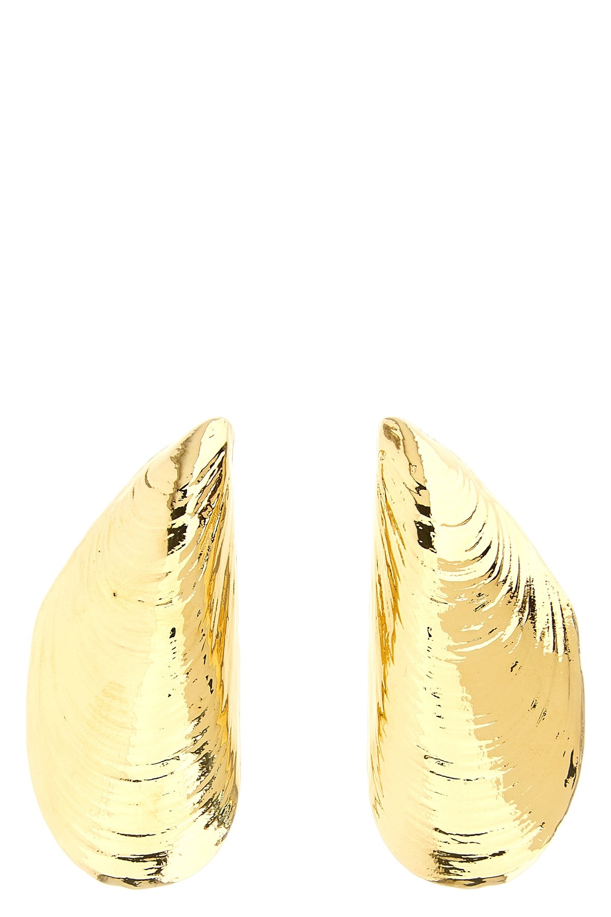 'Mussel Shell' Earrings
